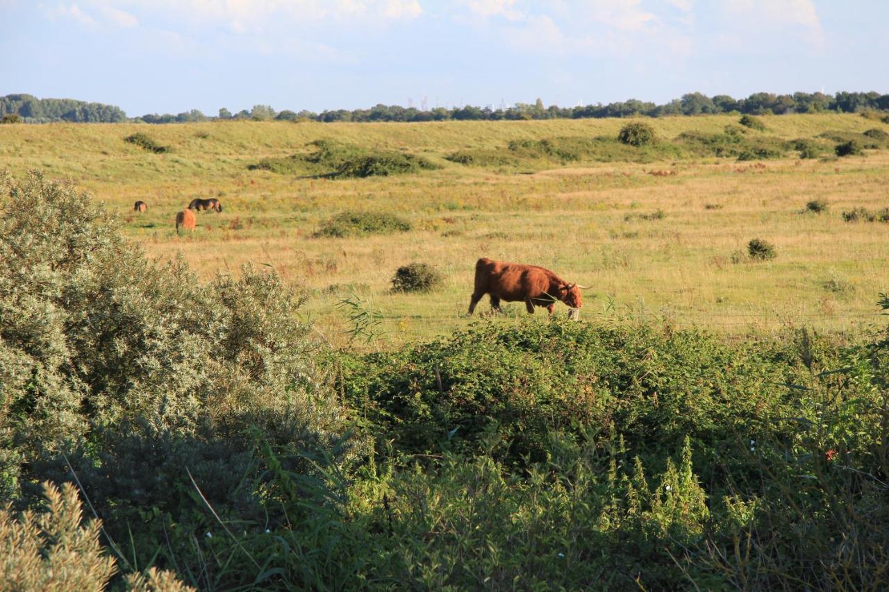 Zeeland & Meer Kamperland Kültér fotó
